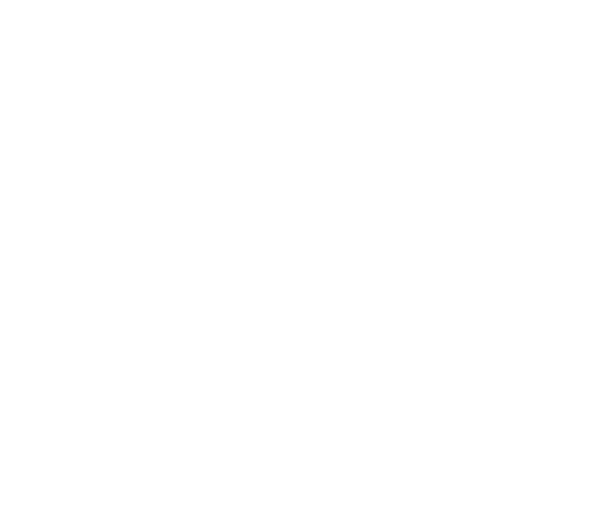 Goierri BarNEtik (Ir a la página principal)